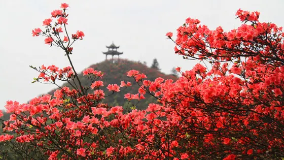 龍泉山蚩尤文化園