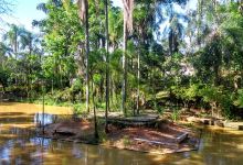 Parque Ecologico do Luizao景点图片