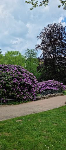 Nerotal-Anlagen-威斯巴登