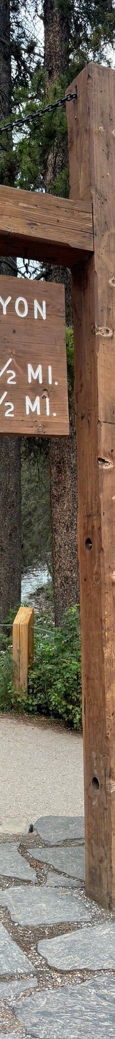 强斯顿峡谷-Improvement District No. 9