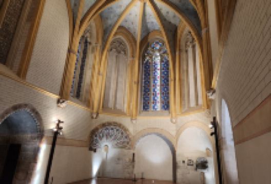 Palace of the Kings of Majorca景点图片