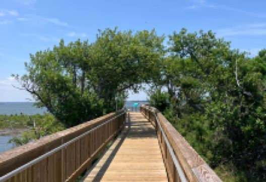 阿萨提格国家海岸公园景点图片