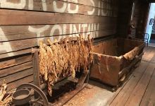 South Carolina Tobacco Museum景点图片