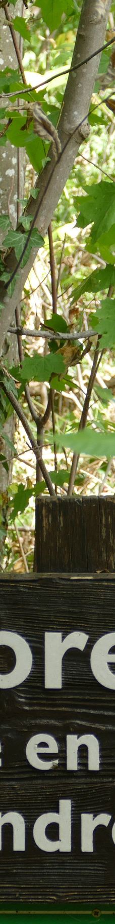 里派城堡-托农莱班