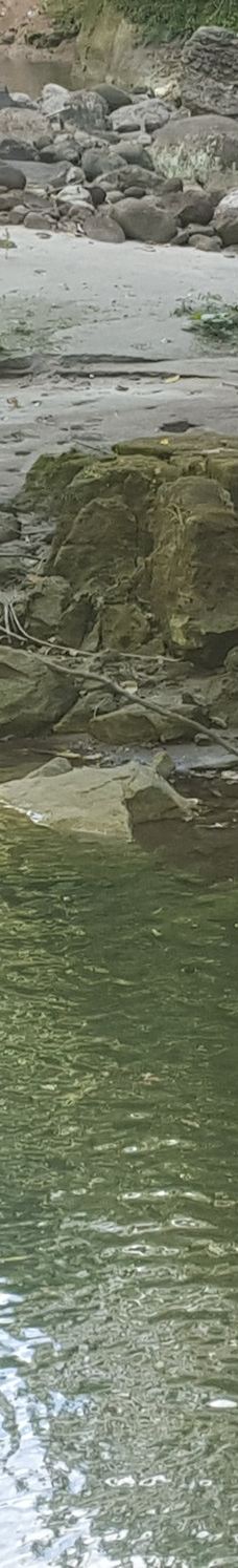 Amboro National Park-圣克鲁斯