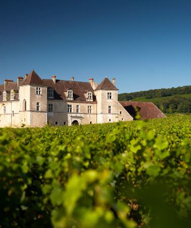 2D1N • Premium France multi-day private tour: Prestige Burgundy