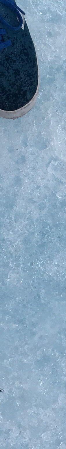 冰原大道-Improvement District No. 9