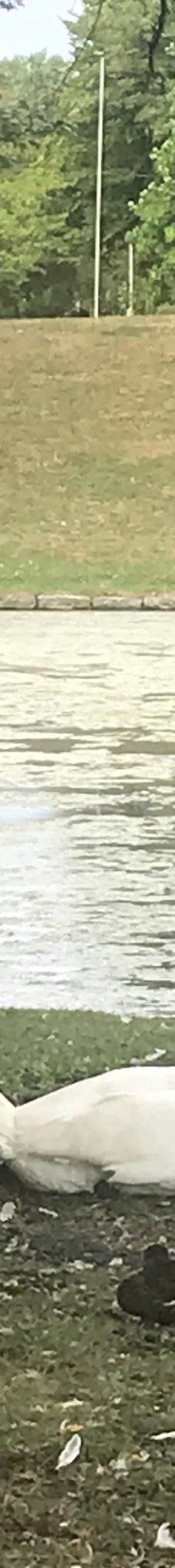 莱茵休闲公园-波恩