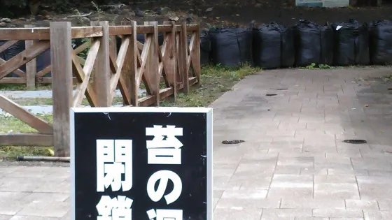 Kokenodomon