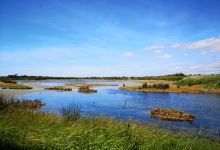 Ornithological Reserve of Teich景点图片