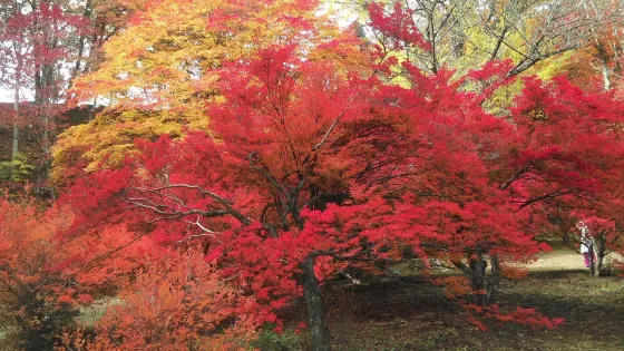 霊松寺