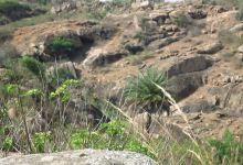Melkote Temple Wildlife Sanctuary景点图片