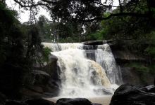 Tat Hueang Waterfall景点图片