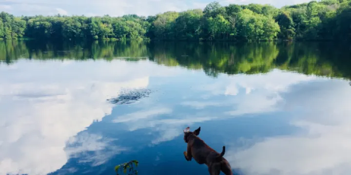 阿什蘭國家公園