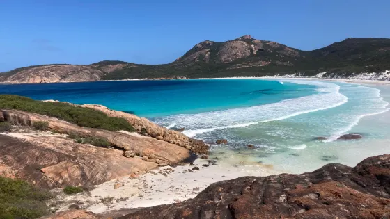 Thistle Cove