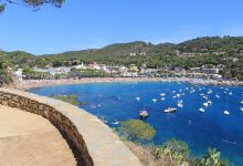 Platja Port Bo景点图片