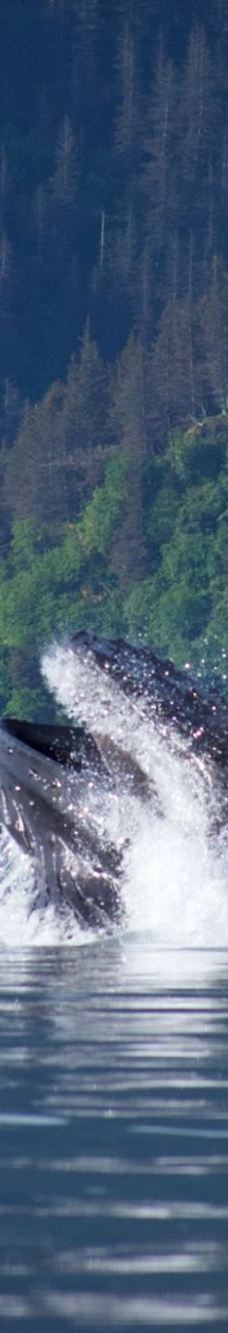 Seward Ocean Excursions-西沃德