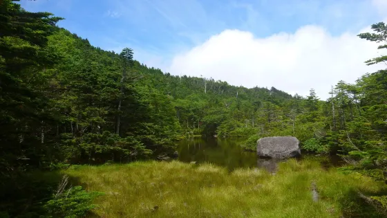 Nanatsuike Pond