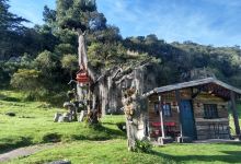 Petroglifos Pajarito景点图片