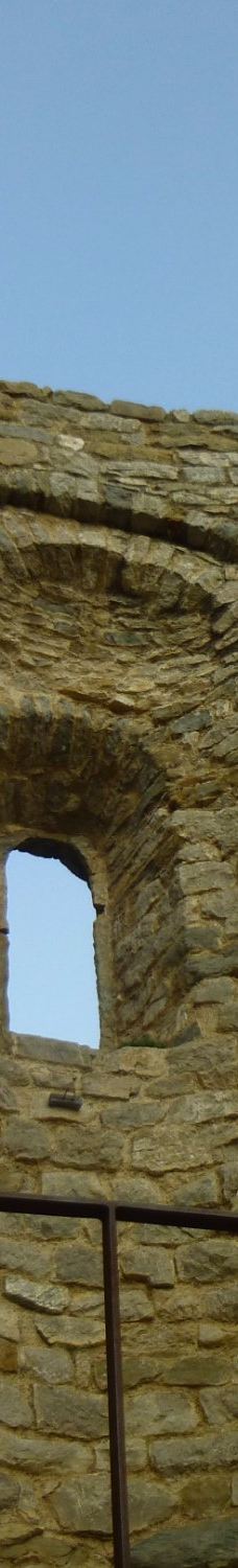 Monestir de Sant Llorenc de Sous-阿尔瓦纳