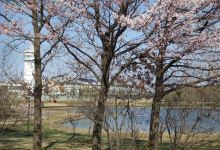 Ora Chuo Park景点图片