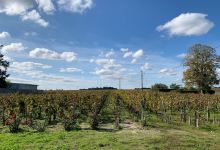 Domaine Les Sadons景点图片