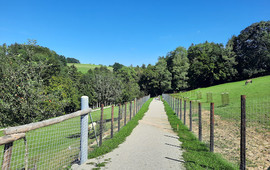 Wildpark Hochrieß