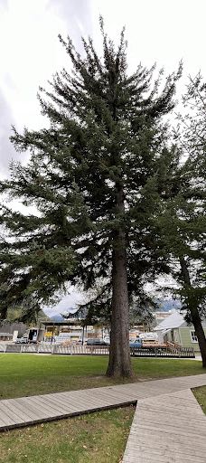 Historic Moore Homestead, Skagway-史凯威