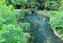 Parc Adam景点图片