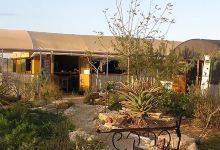 משתלת קרקש Karkash nursery购物图片