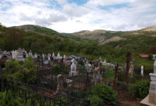 Tibru River景点图片