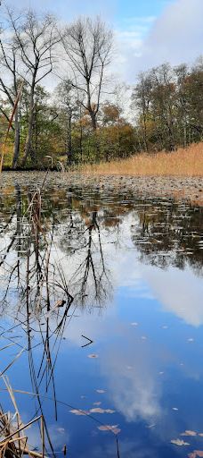 Wildgehege Marienhölzung-弗伦斯堡