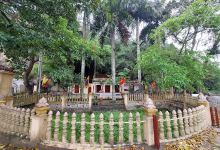 Phủ Thông Thiên景点图片