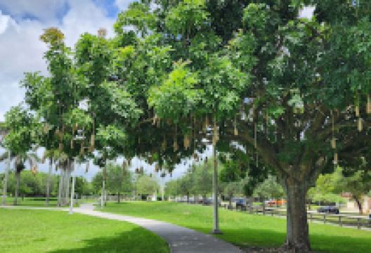 Chuck Pezoldt Park景点图片