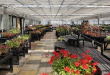 Brynawel Fuchsia & Garden Centre购物图片