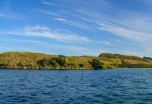 Great Mercury Island / Ahuahu景点图片