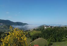 Chiesa di S. Croce景点图片