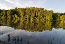 River Forest Park Campground景点图片