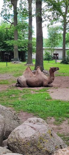 Öland Zoo and Amusement Park-默尔比隆阿