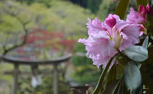 奧山田天神社