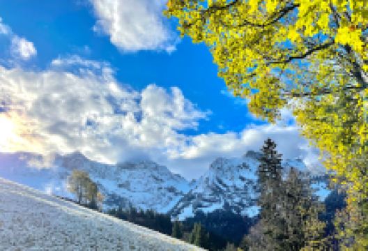 Rigidalstock景点图片