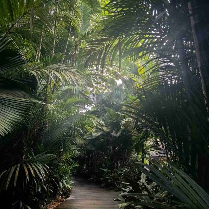 新加坡+民丹岛7日6晚自由行