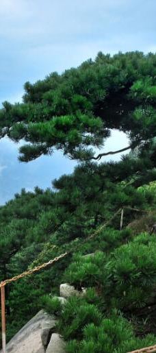 大别山国家森林公园-罗田