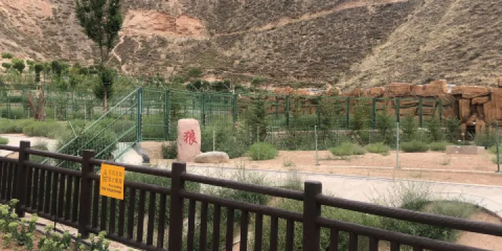 蘭州野生動物園-狼