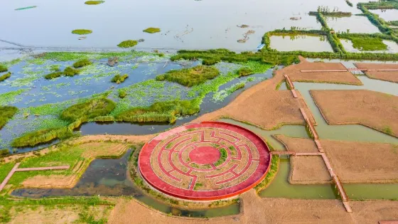 柳清湖濕地公園