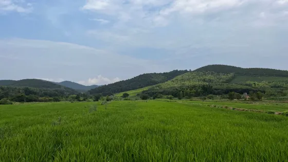 宣城郎溪侯村祠堂
