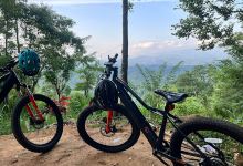 EzyBikes景点图片