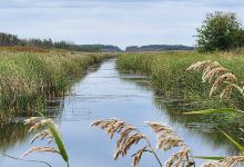 Agassiz National Wildlife Refuge Headquarters Building And Visitor Contact Station景点图片