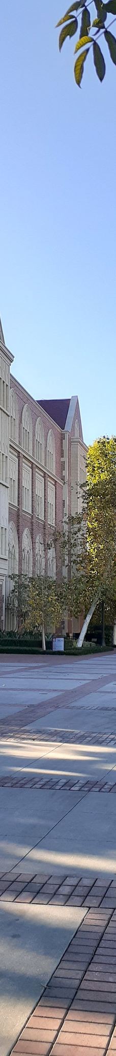 南加州大学-洛杉矶