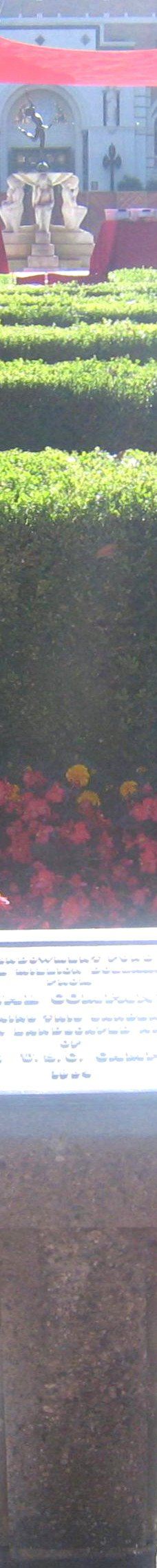 南加州大学-洛杉矶